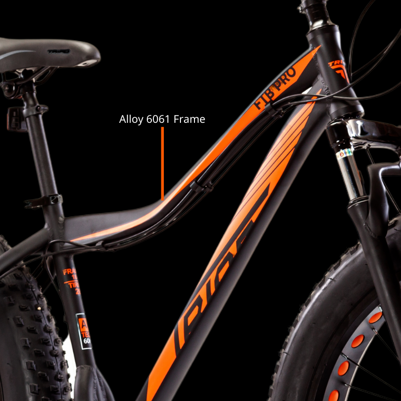 triad ftb pro feature 1